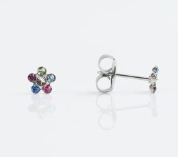 Stainless Daisy Rainbow TT-6213W